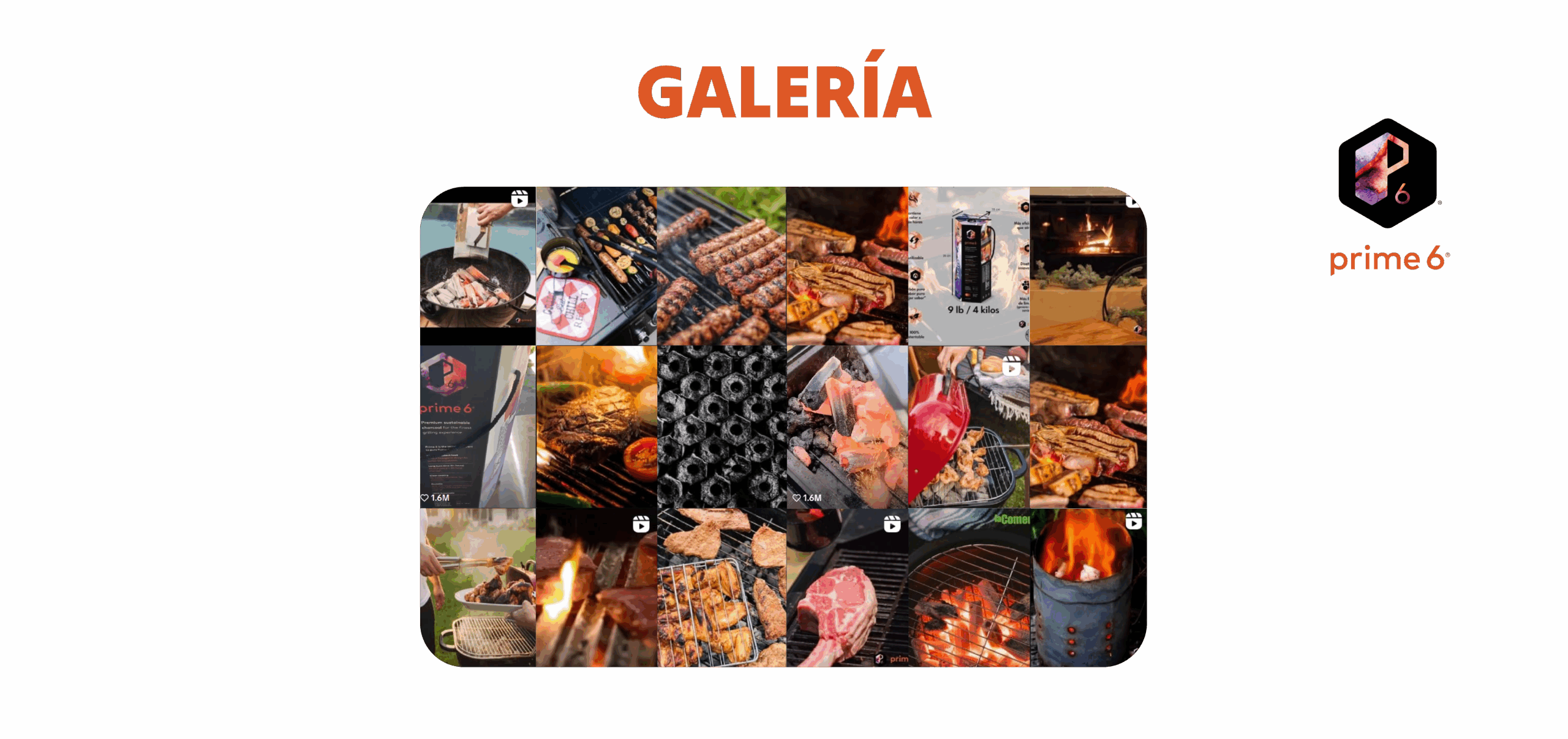 Sinbiotik Brands Page_Galería copia 5